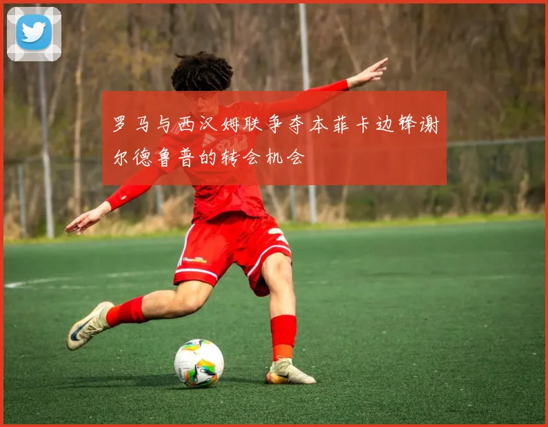 罗马与西汉姆联争夺本菲卡边锋谢尔德鲁普的转会机会