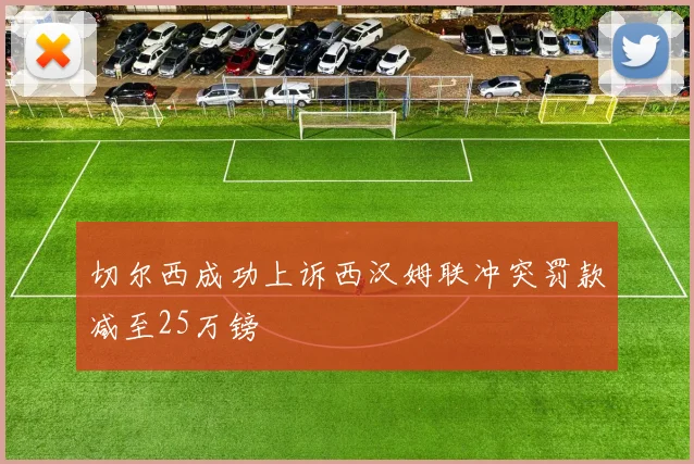 切尔西成功上诉西汉姆联冲突罚款减至25万镑